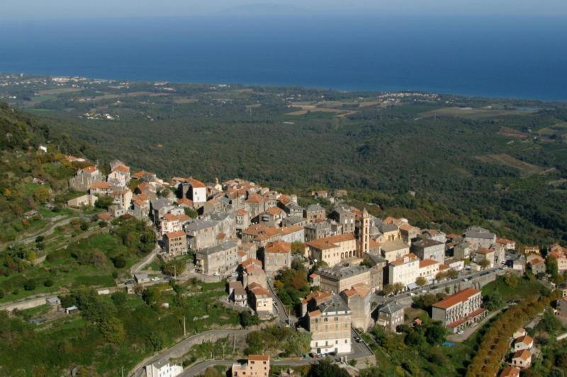 Villa Angelini Valle-di-Campoloro 외부 사진