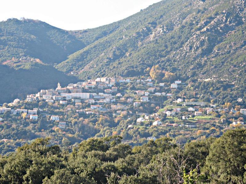 Villa Angelini Valle-di-Campoloro 외부 사진